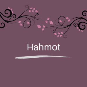 Hahmot