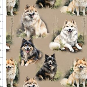 lapinkoira mokka koko