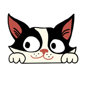 Kissa