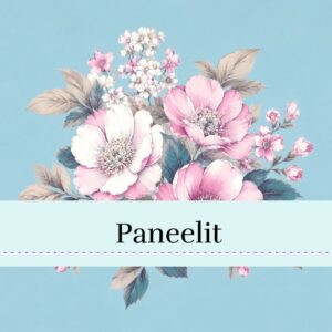 PANEELIT